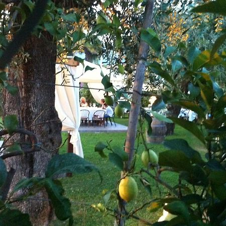 Hotel Da Filie' Querceta Kültér fotó
